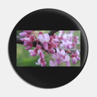 Pink Flowers Pin