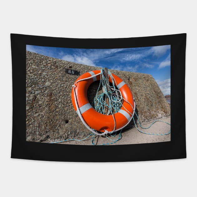 Life Buoy-New Brighton Tapestry by jasminewang