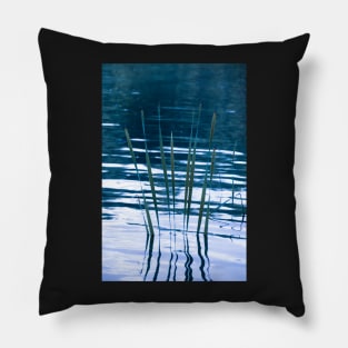 Water reflections Pillow