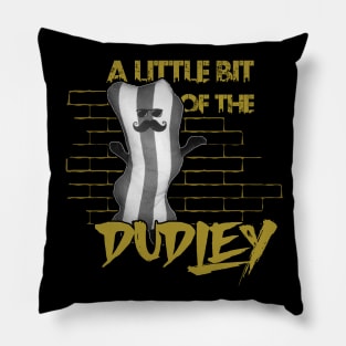 A Little Bit Of The Dudley Pillow