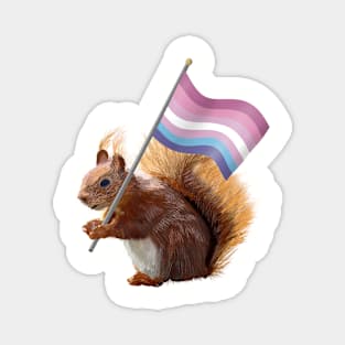 A Red Squirrel with a bigender pride flag. Magnet