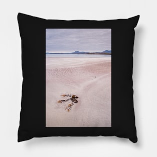 Mellon Sands #1 Pillow