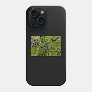 Muscari flowers on a green field Phone Case