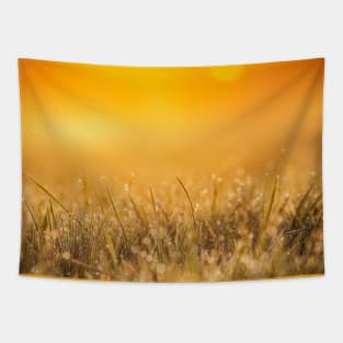 fresh morning dew Tapestry