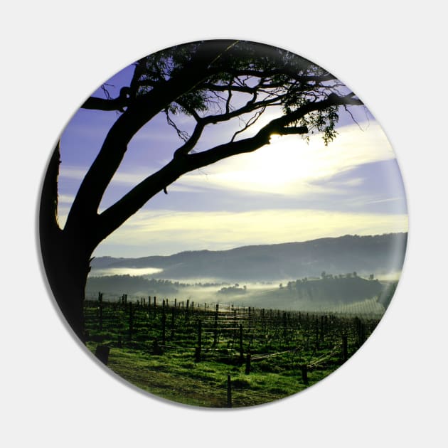 South Australia Barossa Landscape Pin by jwwallace