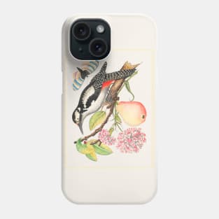 Bird Perched on a Branch with a Pear, Blossoms, and Leaves (18th Century) Phone Case