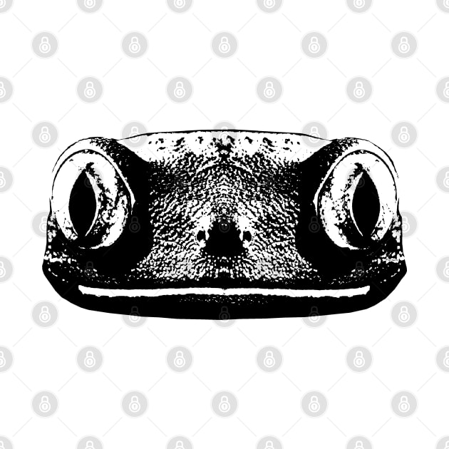 Frog Face looks like a Gecko by R LANG GRAPHICS