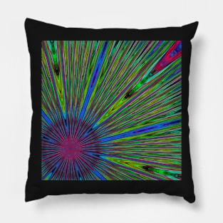 Peacock Pillow