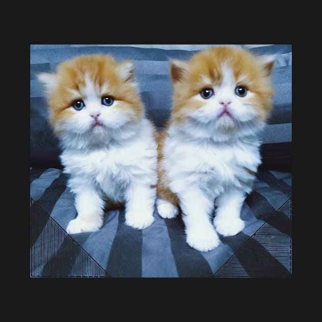 The twin cute cats by kunasin