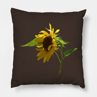 Backlit Sunflower Pillow