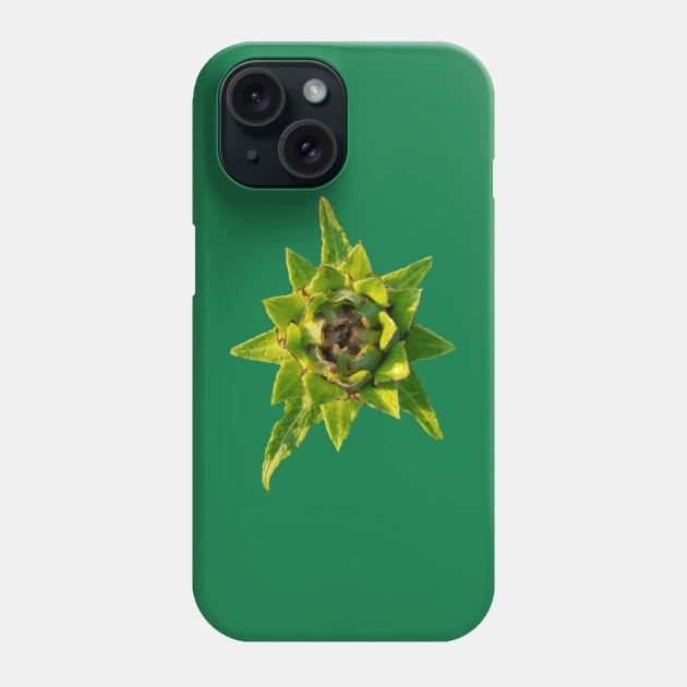 Vegetable Phone Case by Circles-T