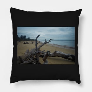 On the shore Pillow