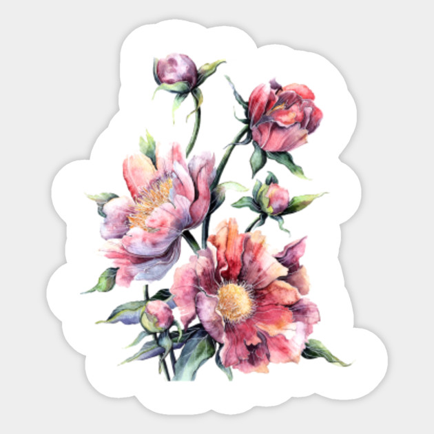 Flower Paper Painting Rose Watercolor Peony In Full Bloom Two