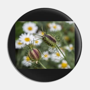 Nigella & Aster Pin