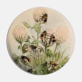 Vintage Bees on Vintage Flowers Pin