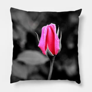 Rose bud Pillow