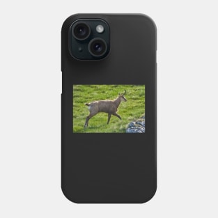 A male mountain goat in the early summer on a pasture Phone Case