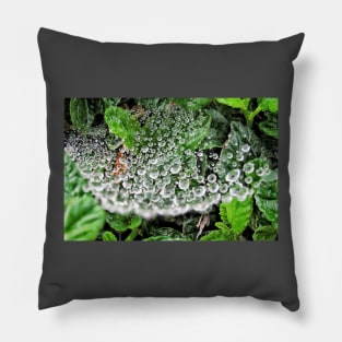 cradle of life Pillow