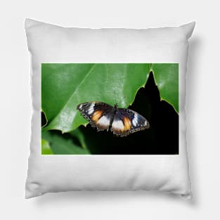 Common Egg Fly Butterfly Pillow