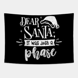 Women's Christmas Shirt, Xmas Holiday Shirt, Dear Santa It Was Just A Phase Shirt, Winter Shirt, Christmas T-Shirt, Christmas Family Tapestry