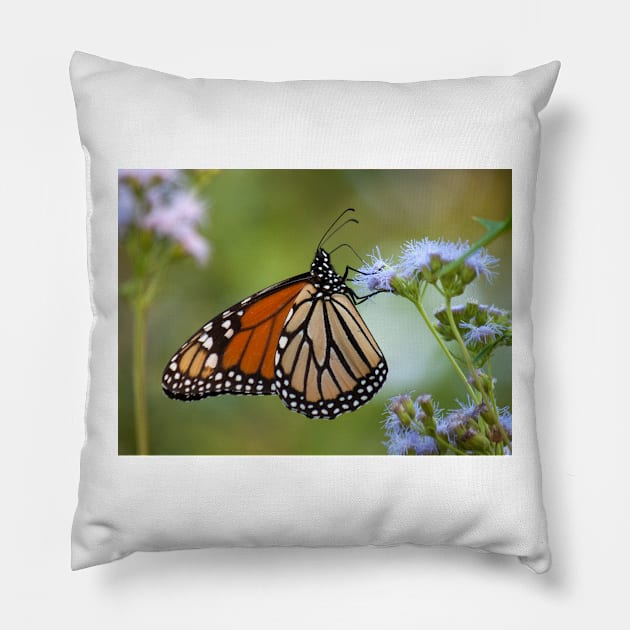 Migration Series IV Pillow by Jacquelie