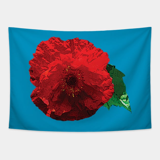 One Red Poppy Tapestry by SusanSavad