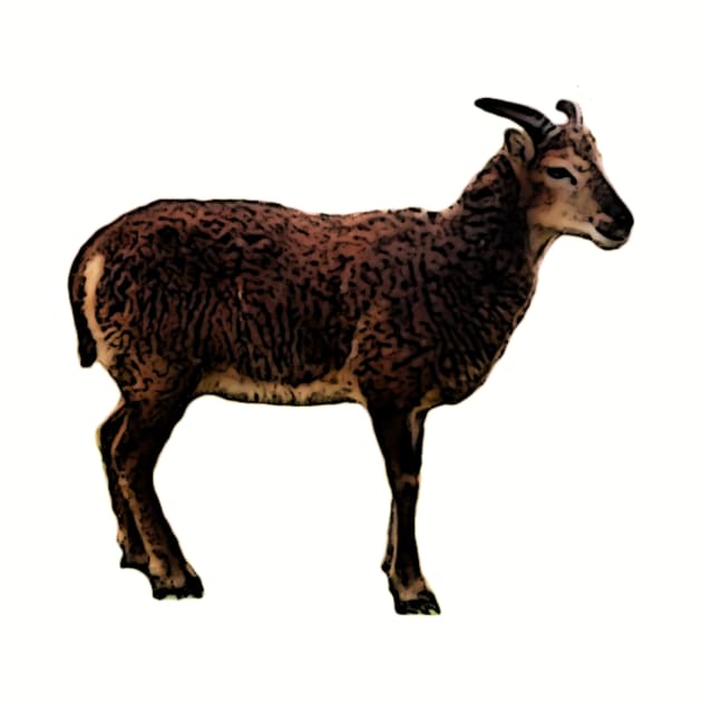 Soay Ewe by Shepherd