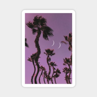 Palm Vibes Magnet
