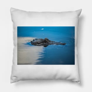 Swimming Alligator Pillow