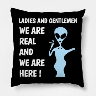 ladies and gentlemen we are real and we are here ! Pillow