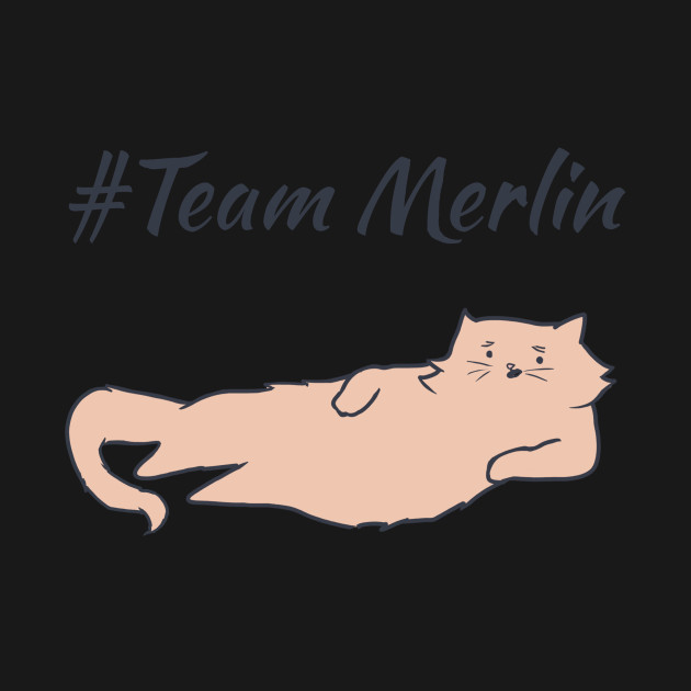 Disover Team Merlin - Merlin - T-Shirt