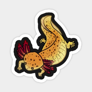 Copper axolotl mud puppy shirt Magnet