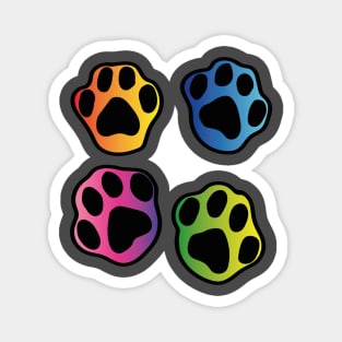 Paw Prints Magnet