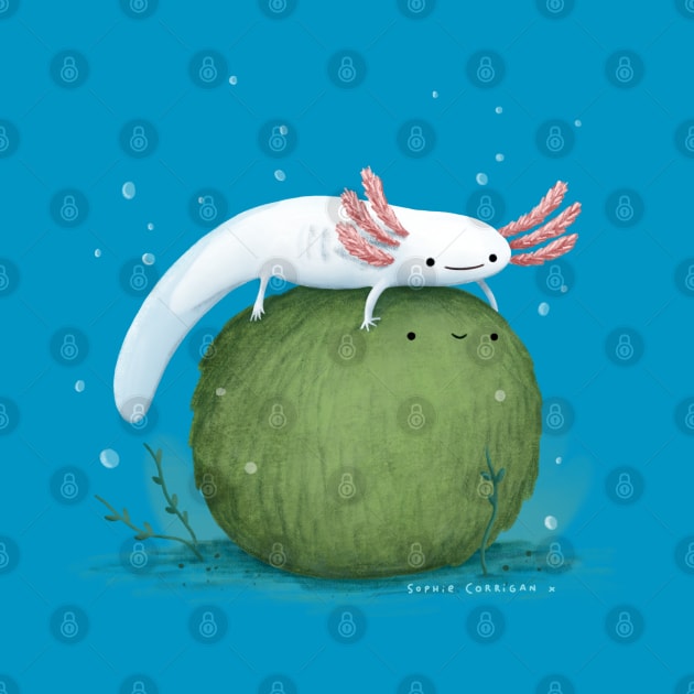 Axolotl on a Mossball by Sophie Corrigan