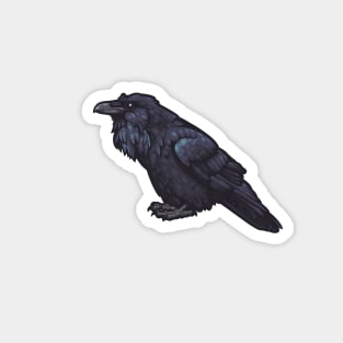 Common Raven Magnet