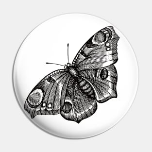 Dramabite Vintage butterfly illustration Pin