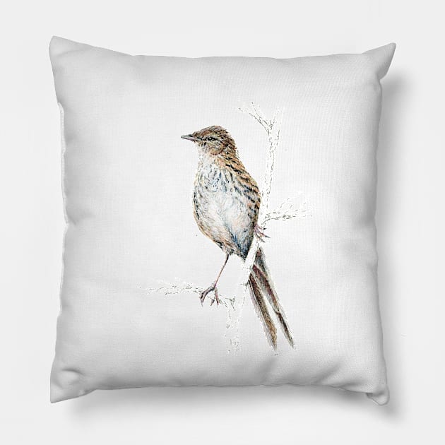 Mr Matata, New Zealand Fernbird Pillow by EmilieGeant