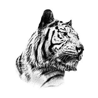 Tiger T-Shirt