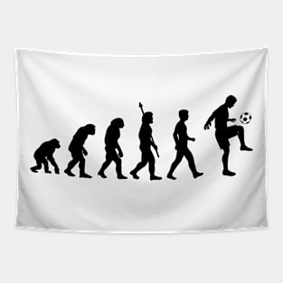 Evolution of the football player Tapestry