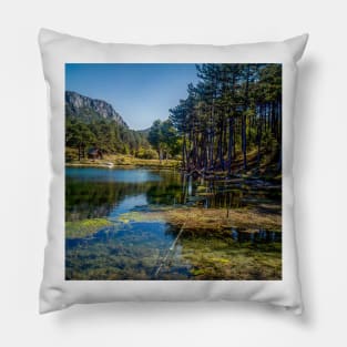 South of France landscape Pillow