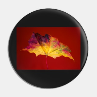 Autumn Maple Leaf Pin