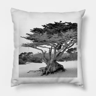 California Beach Tree Pillow