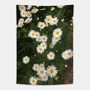 Little White Daisies Tapestry