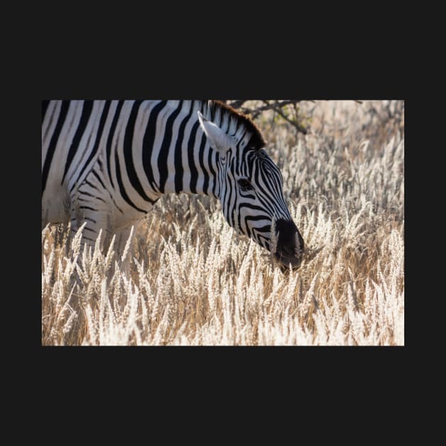 Zebra portrait. by sma1050