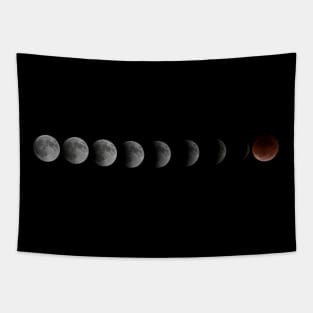 Moon phases of Eclipse Tapestry