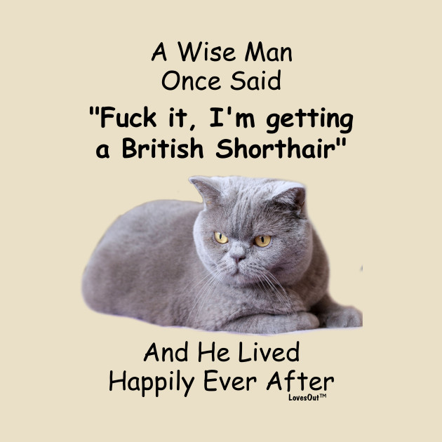 Funny British Shorthair Cat Gift For Men British Shorthair Cat