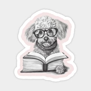 Poodle reading book Magnet