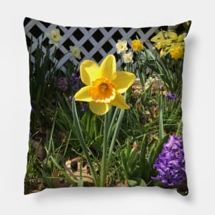 Yellow and Orange Daffodil With Friends Pillow