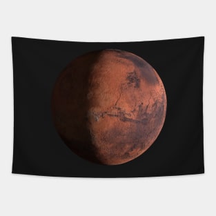 Mars in High Detail 8K Tapestry