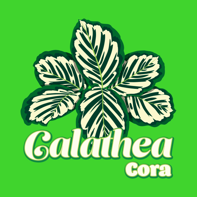 Calathea Cora by LEO+SKYLAR